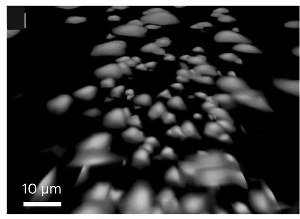 Open access visualization of Microscopy, Arivis VisionVR, Raw Data, Microglia, Reporter Mouse