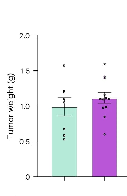 Open access visualization of Bar Plot, Error Bars, Scatter Plot, Tumor Weight, NC26 Cells