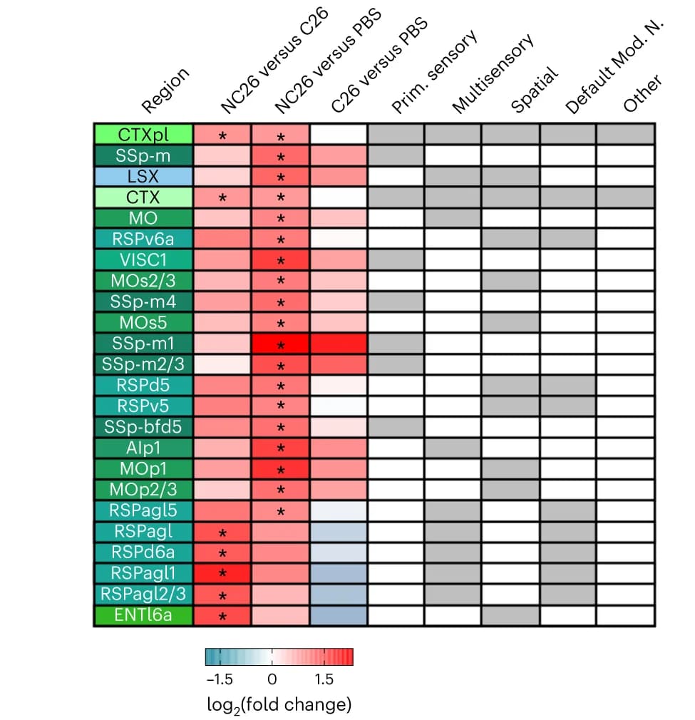 Open access visualization of Heatmap, Brain Region, c-Fos, Cell Density, Fold Change
