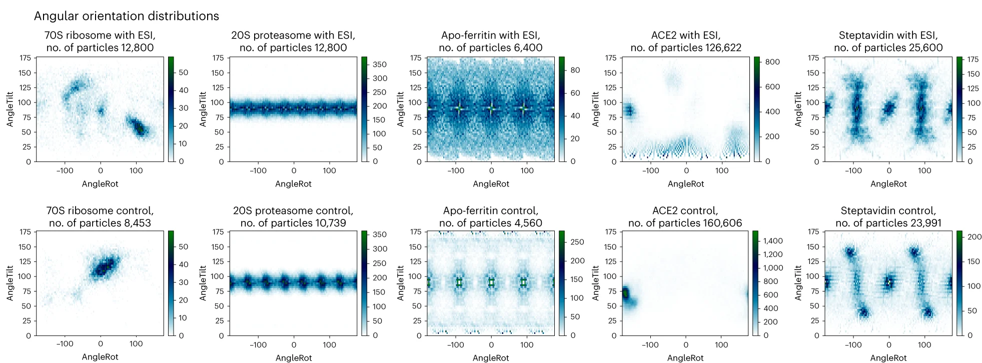 Open access visualization of Heatmap, Angular Orientations, Protein Samples, 70S Ribosome, 20S Proteasome