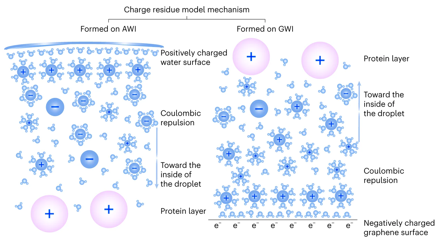 Open access visualization of Illustration, Charge Residue Model, Protein Particles, Polar Water Solvents, Charged Droplet Surface