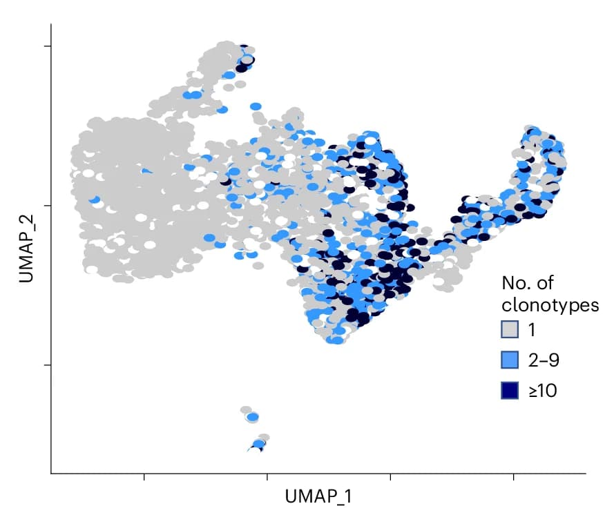 Open access visualization of UMAP, Scatter Plot, Clonal Expansion, Gene Expression, UMAP Plot