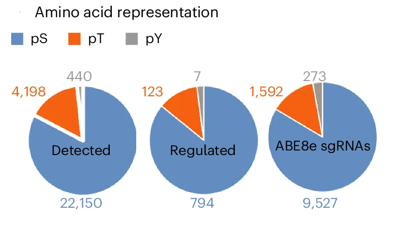 Open access visualization of Pie Chart, Phosphorylated Amino Acid, Phosphopeptides, Mass Spectrometry, sgRNAs