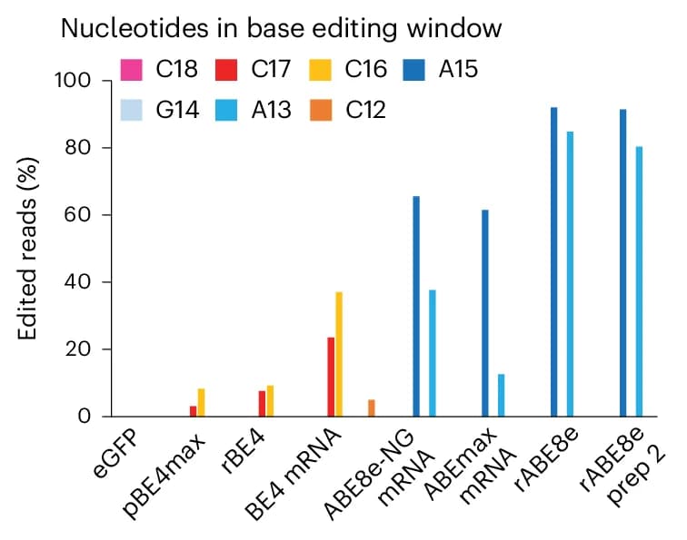 Open access visualization of Bar Plot, Clustered, Base Editing, NGS Amplicon Sequencing, Nucleofection