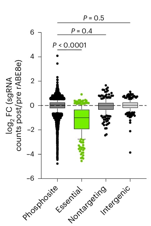 Open access visualization of Violin Plot, Box Plot, sgRNA library, Essential Genes, Intergenic base Edits