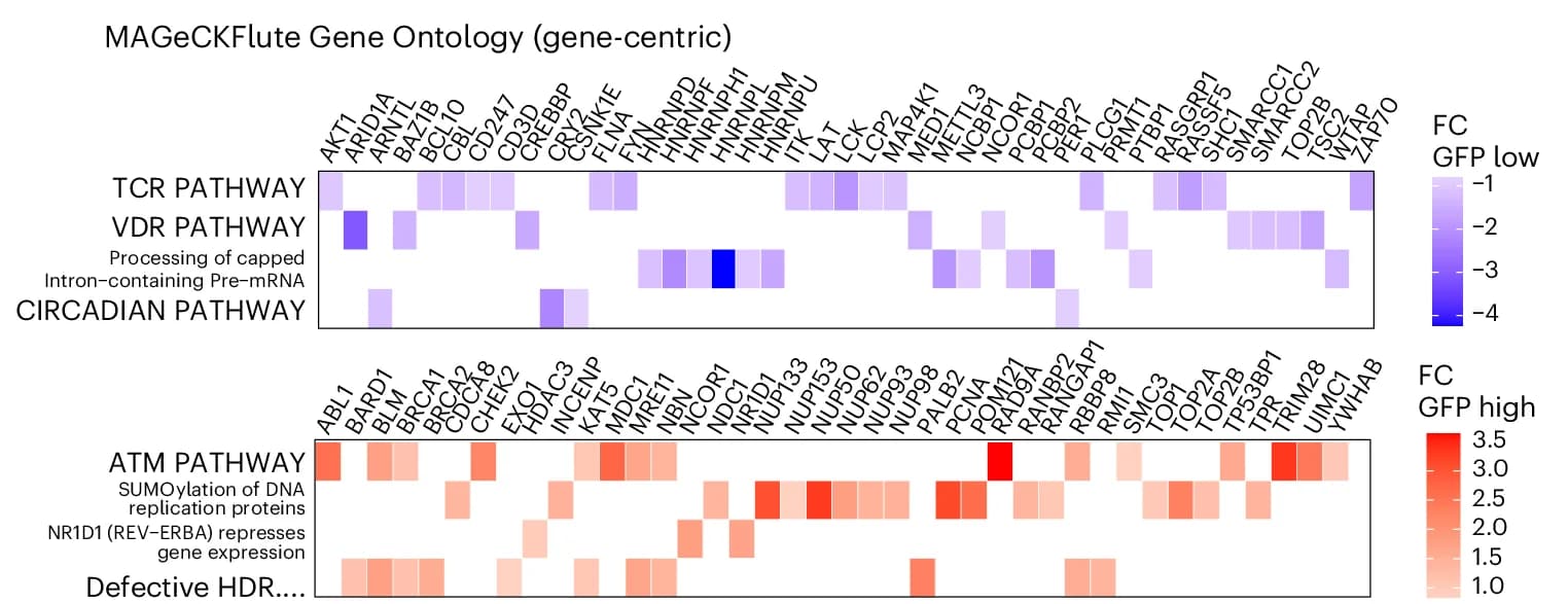 Open access visualization of Heatmap, MAGeCKFlute, Pathway Analysis, Genes, Phosphosites