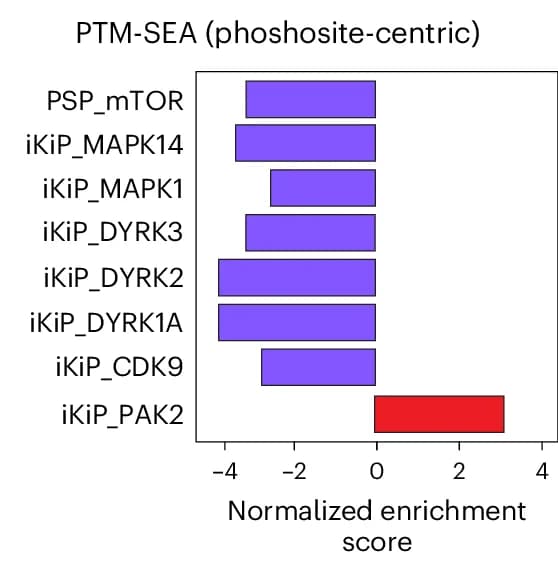 Open access visualization of Bar Plot, PTM-SEA, Phosphosites, ABE8e Protein, Kinase