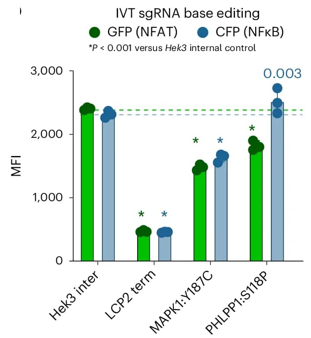 Open access visualization of Bar Plot, Scatter Plot, NFAT activity, Electroporation, sgRNAs