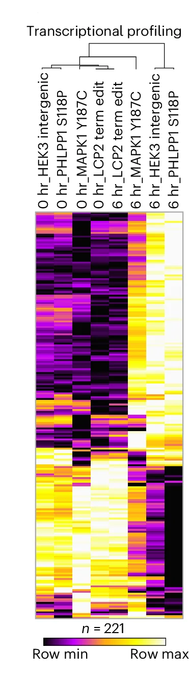 Open access visualization of Heatmap, Clustered, Differentially expressed genes, HEK 3 cells, Intergenic mutant control