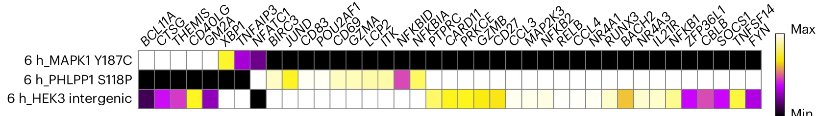 Open access visualization of Heatmap, T Cell, Differentially Expressed Genes, HEK3, PHLPP1 S118P