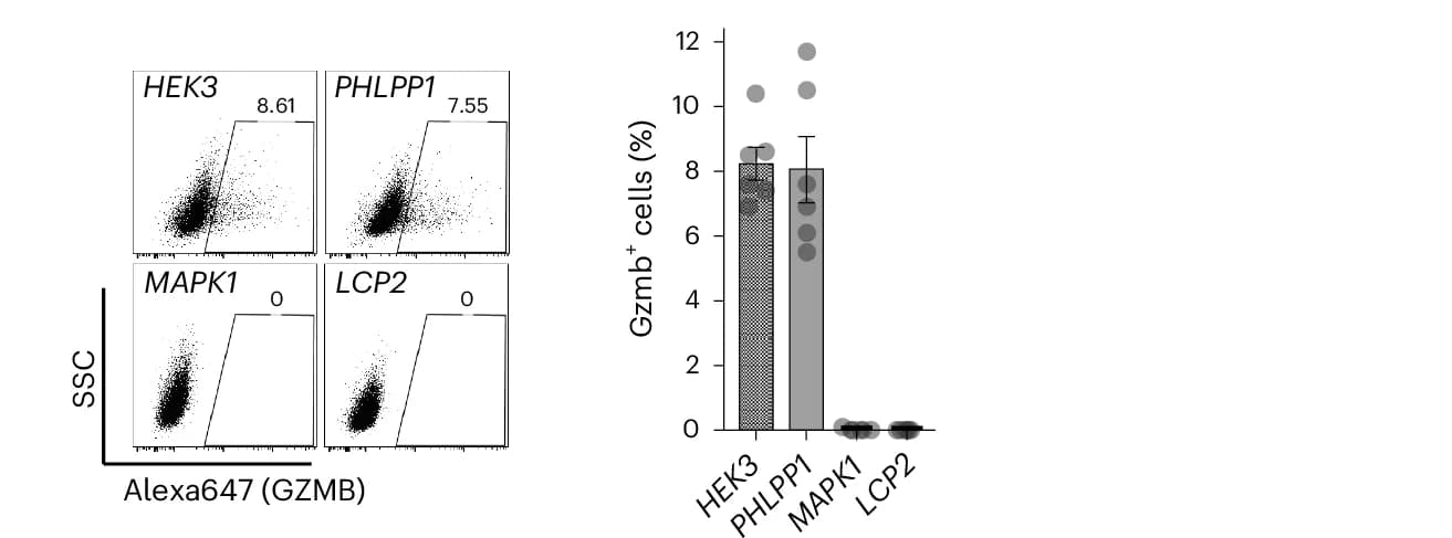 Open access visualization of Bar Plot, Scatter Plot, Error Bars, Intracellular GZMB Staining, HEK3