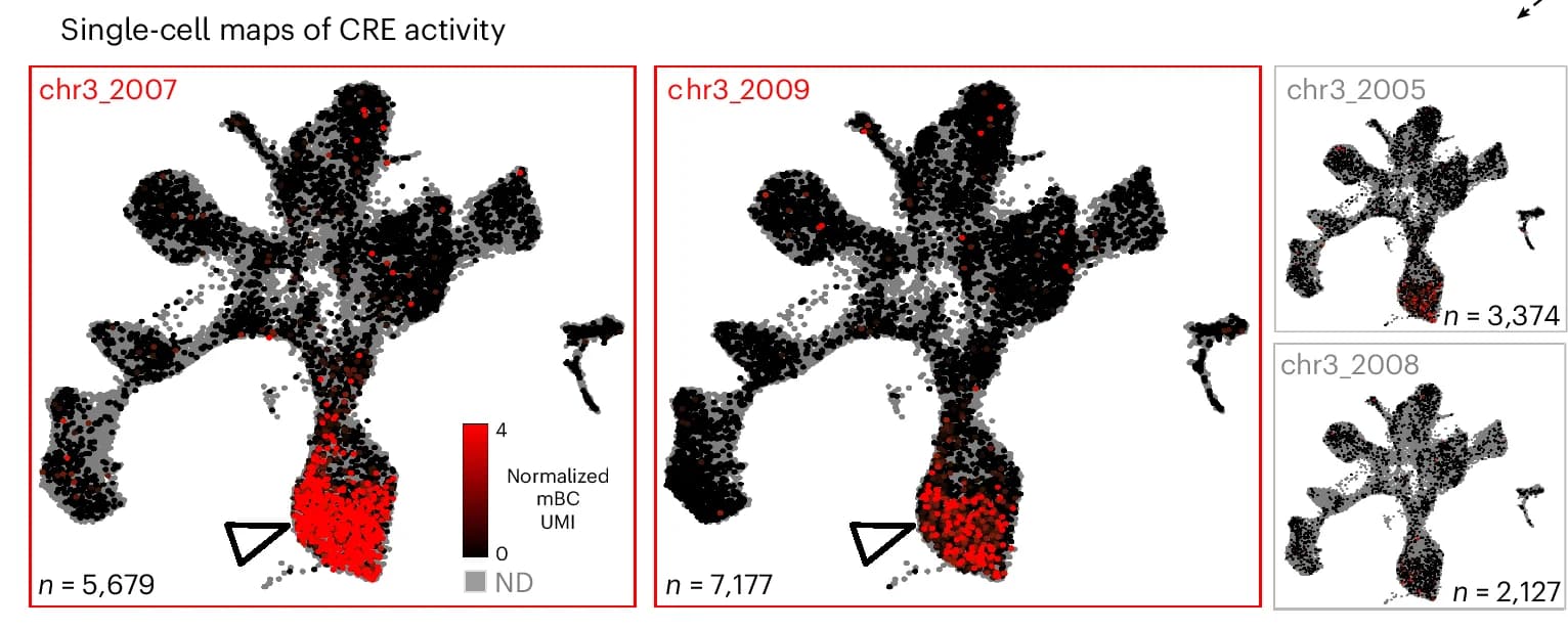Open access visualization of UMAP, Scatter Plot, Single-Cell Maps, CRE Activity, Reporter Expression