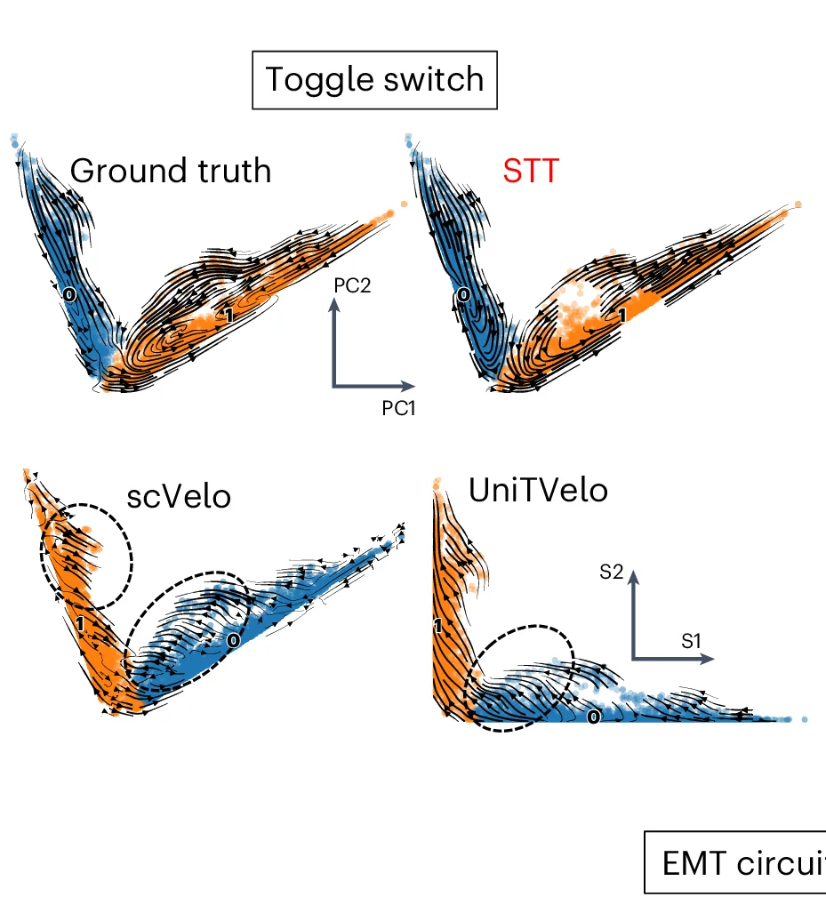 Open access visualization of Scatter Plot, UMAP, Streamlines, STT, Toggle-switch Dataset