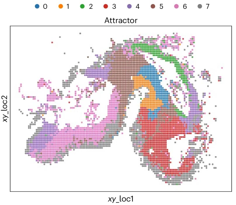 Open access visualization of Scatter Plot, Spatial Annotation, Attractor, STT, Cells