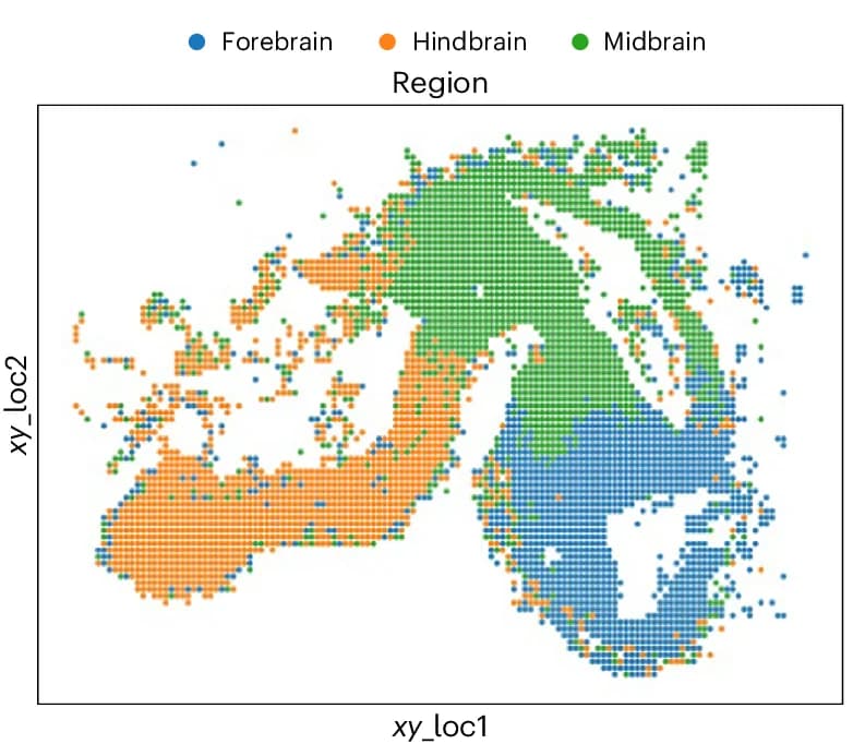 Open access visualization of Scatter Plot, Spatial Annotation, Attractor, STT, Cells