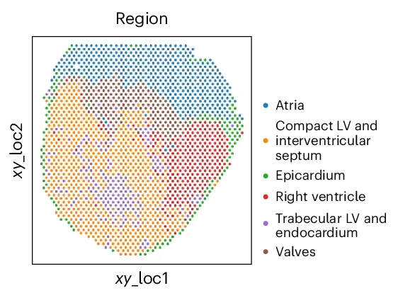 Open access visualization of Scatter Plot, UMAP, Spatial Spots, Annotation, Research