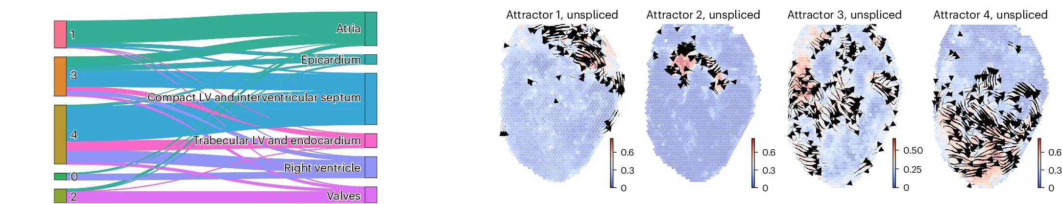 Open access visualization of Sankey, Heatmap, Sankey Plot, STT Attractors, Spatial Region Annotations