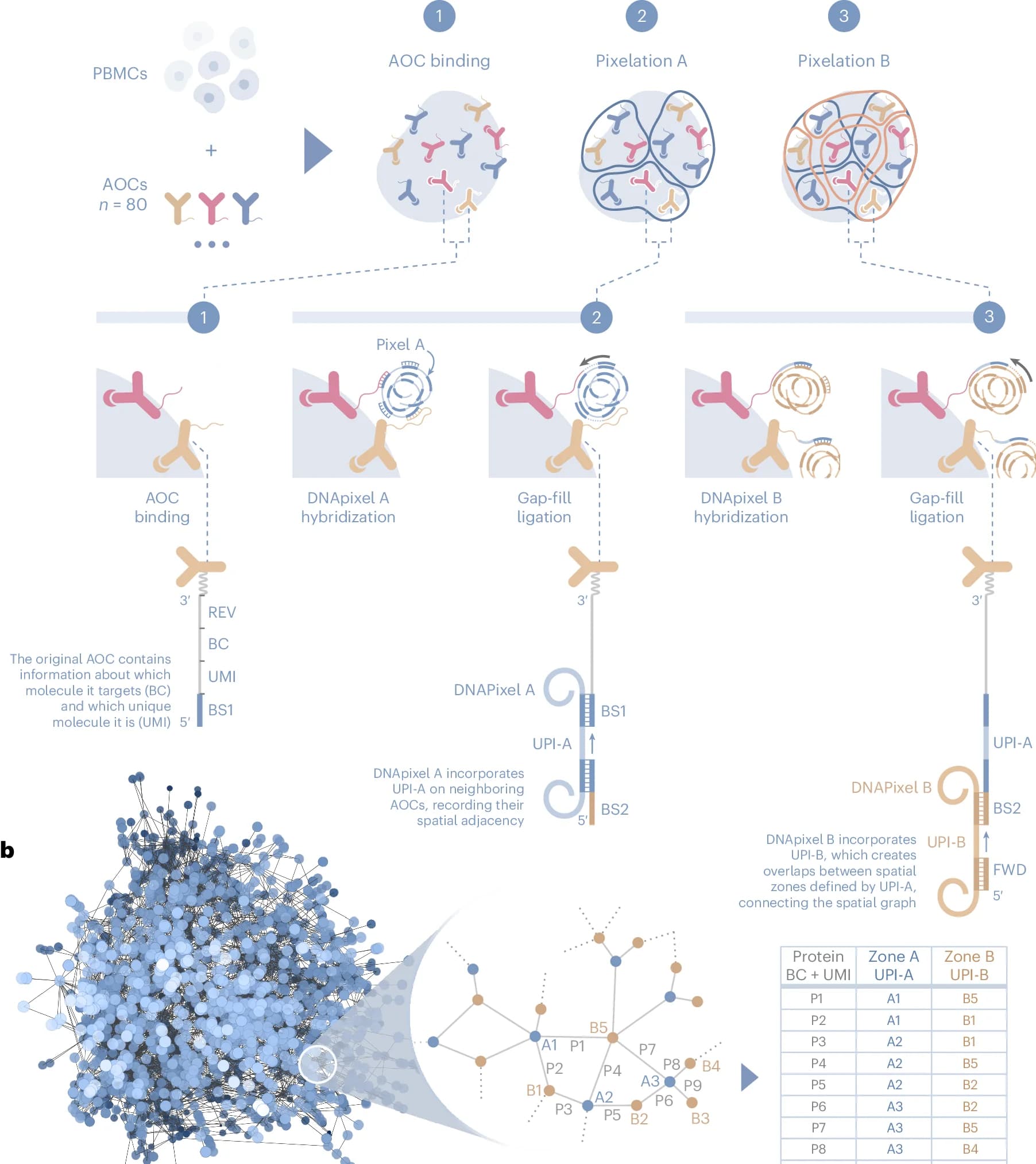 Open access visualization of Network, Pathway, Table Image, Illustration, AOCs