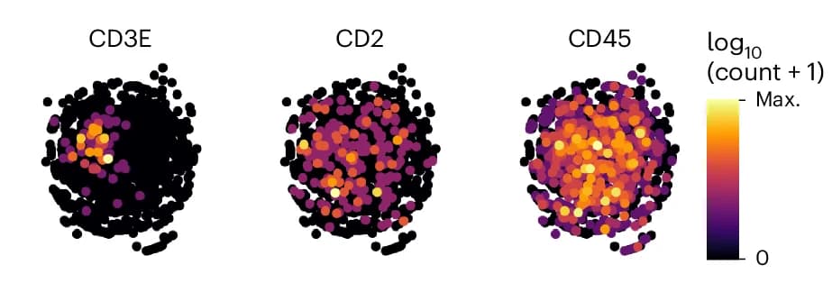 Open access visualization of Scatter Plot, UMAP, 2D Graph Representations, MPX Graphs, CD3-Capped Cell