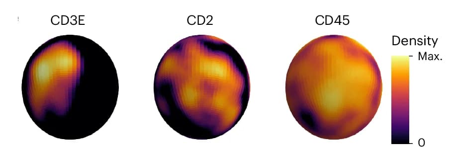 Open access visualization of Heatmap, 3D Density Heat Maps, Graph Representations, CD3-Capped Cell, Count Density