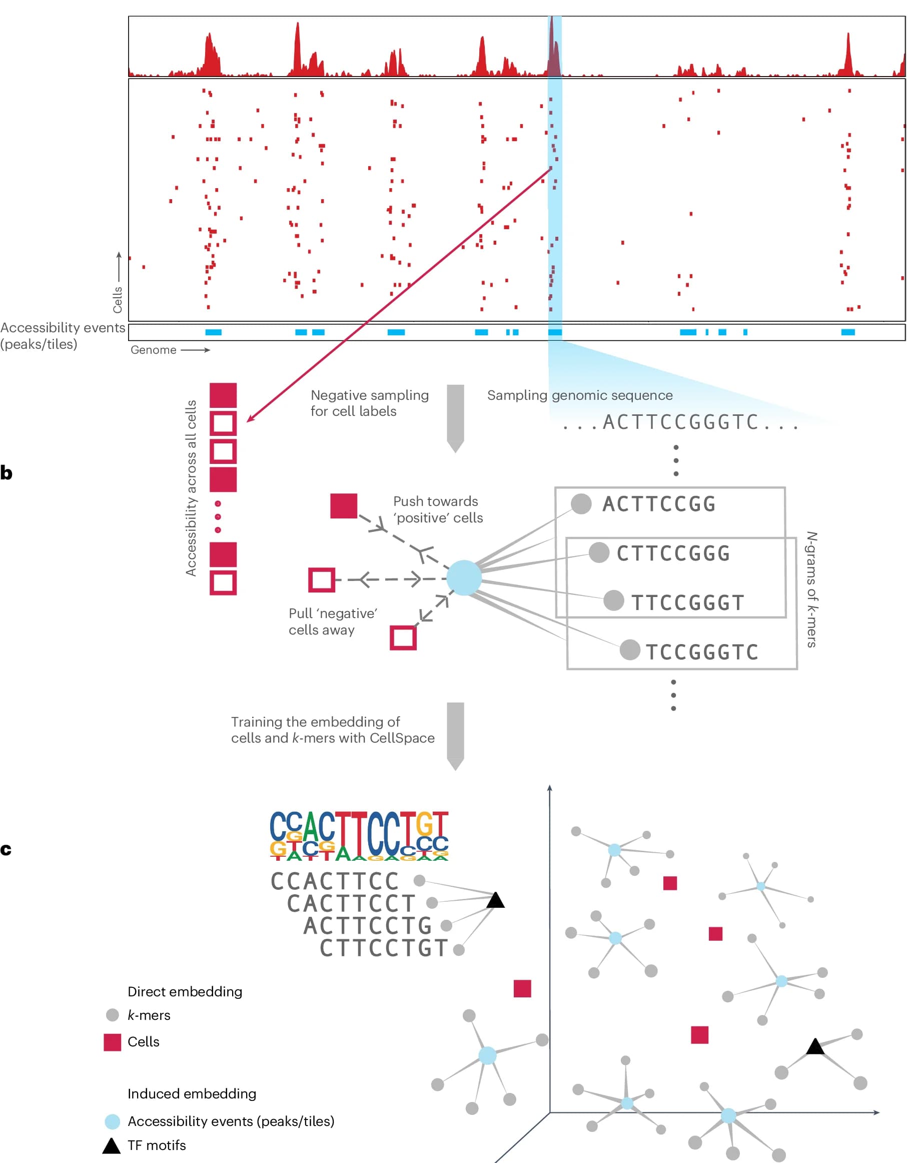 Open access visualization of Scatter Plot, Line Plot, Workflow, CellSpace, Sequences