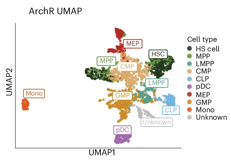 Open access visualization of UMAP, Scatter Plot, itLSI Embedding, Cell-by-Tile Matrix, Batch Effects