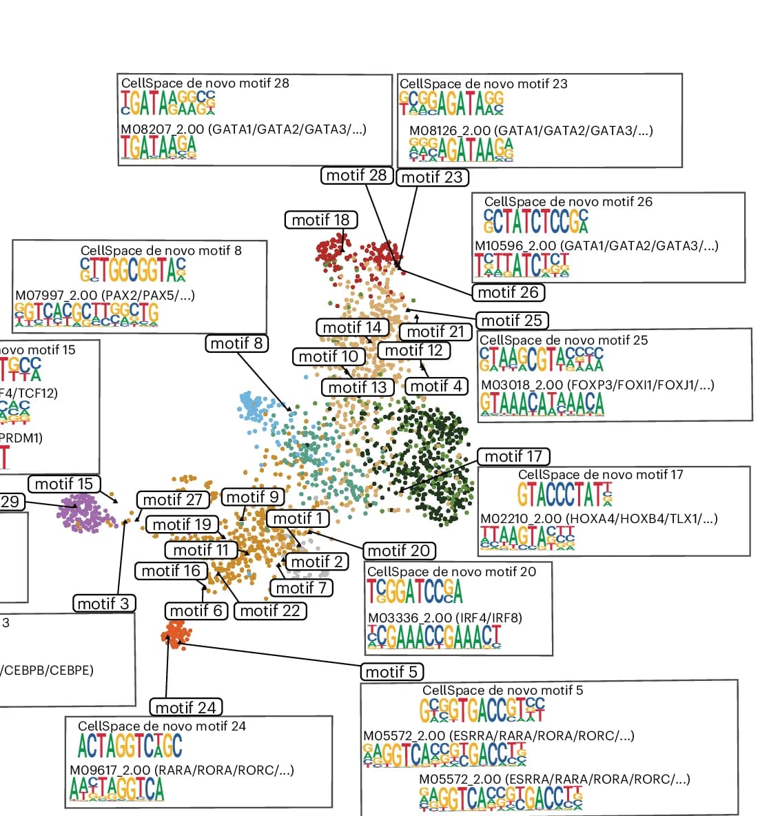 Open access visualization of Scatter Plot, UMAP, De Novo Motifs, CellSpace Embedding, DNA 10-mers