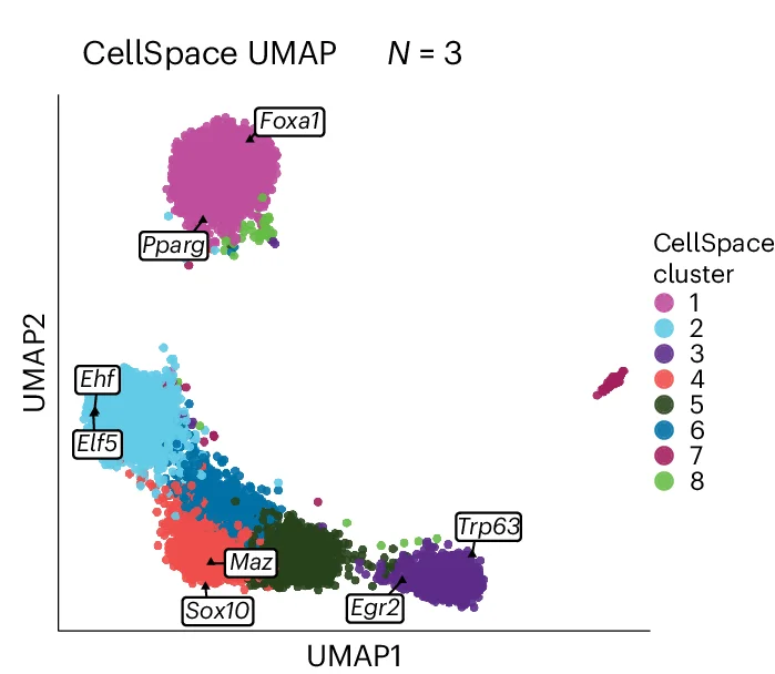 Open access visualization of UMAP, CellSpace, Developmental Relationships, Cell Types, TF Motifs