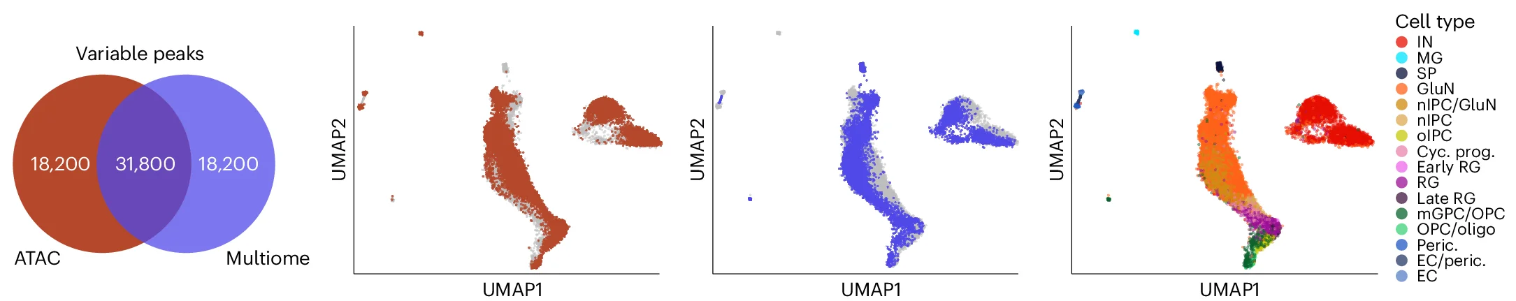 Open access visualization of Venn Diagram, UMAP, Scatter Plot, CellSpace, Human Cortex