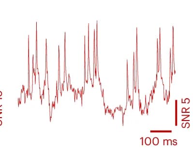 Open access visualization of Line Plot, Fluorescence Traces