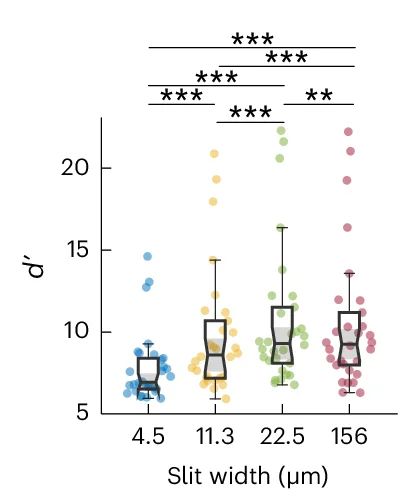Open access visualization of Box Plot, Scatter Plot, Spike Detection Fidelity, Targeted Illumination, Confocal Slit Width