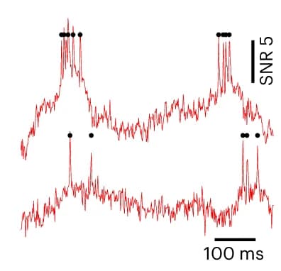 Open access visualization of Line Plot, Fluorescence Traces