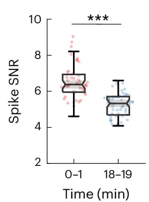 Open access visualization of Box Plot, Scatter Plot, Spike SNR, Wilcoxon Signed-Rank Test, Box Plots