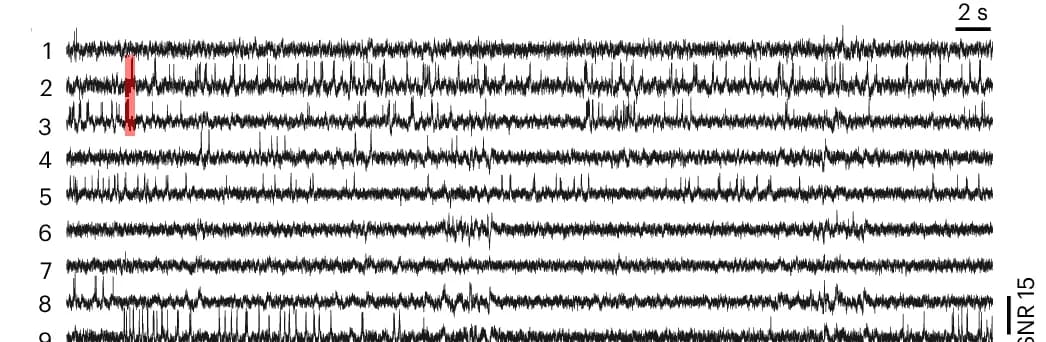 Open access visualization of Line Plot, Voltage Traces, Spiking Neurons