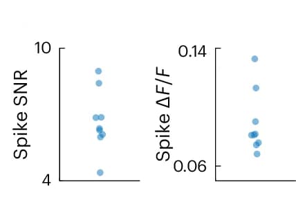 Open access visualization of Scatter Plot, Spike SNR, F/F