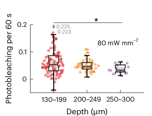 Open access visualization of Box Plot, Scatter Plot, Photobleaching Rate, Imaging Depths
