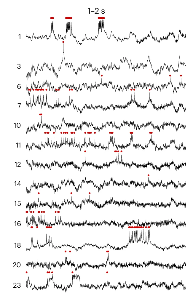 Open access visualization of Line Plot, Voltron2 Fluorescence, Neurons, Fluorescence Traces