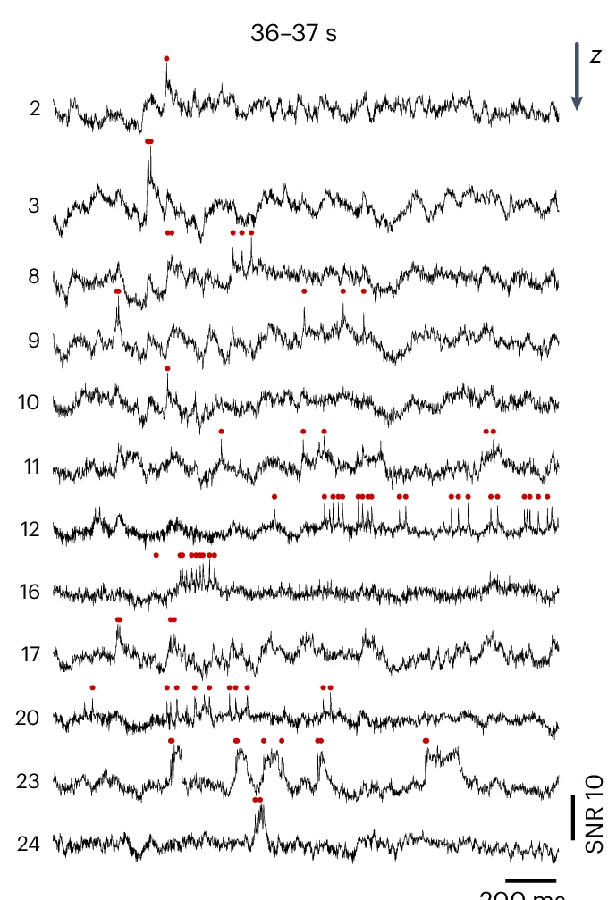 Open access visualization of Line Plot, Voltron2 Fluorescence, Neurons, Fluorescence Traces