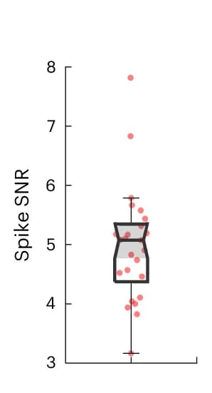 Open access visualization of Box Plot, Scatter Plot, Violin Plot, Raincloud Plot, Spike SNR