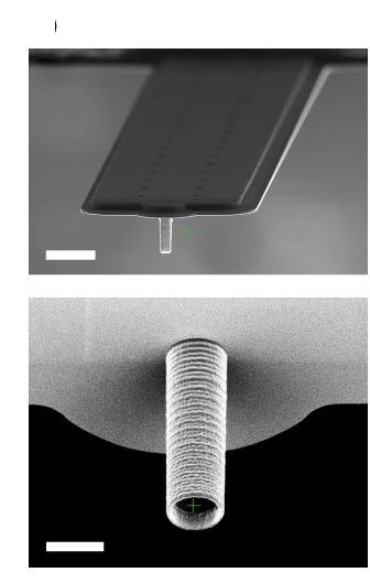 Open access visualization of Microscopy, Scanning Electron Microscopy, SEM, FluidFM Probes, Cylindrical Tip