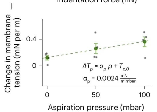 Open access visualization of Scatter Plot, Error Bars, Regression Plot, Membrane Tension, Cell Indentation