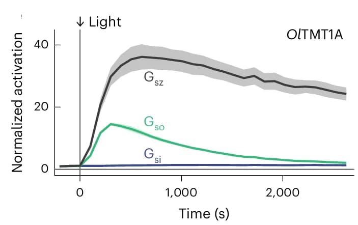 Open access visualization of Line Plot, Error Bars, Bioluminescence, Gasz, Gasi
