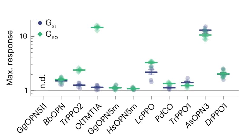 Open access visualization of Scatter Plot, Error Bars, Bioluminescence, OptoGPCRs, Gasi
