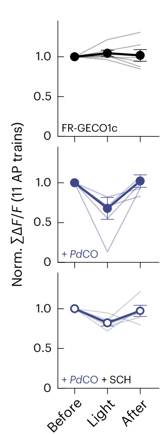 Open access visualization of Line Plot, Error Bars, FR-GECO1c, Pd CO, GIRK Currents