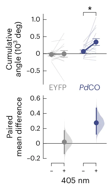 Open access visualization of Scatter Plot, Violin Plot, Error Bars, Accumulated Angle, UV Illumination