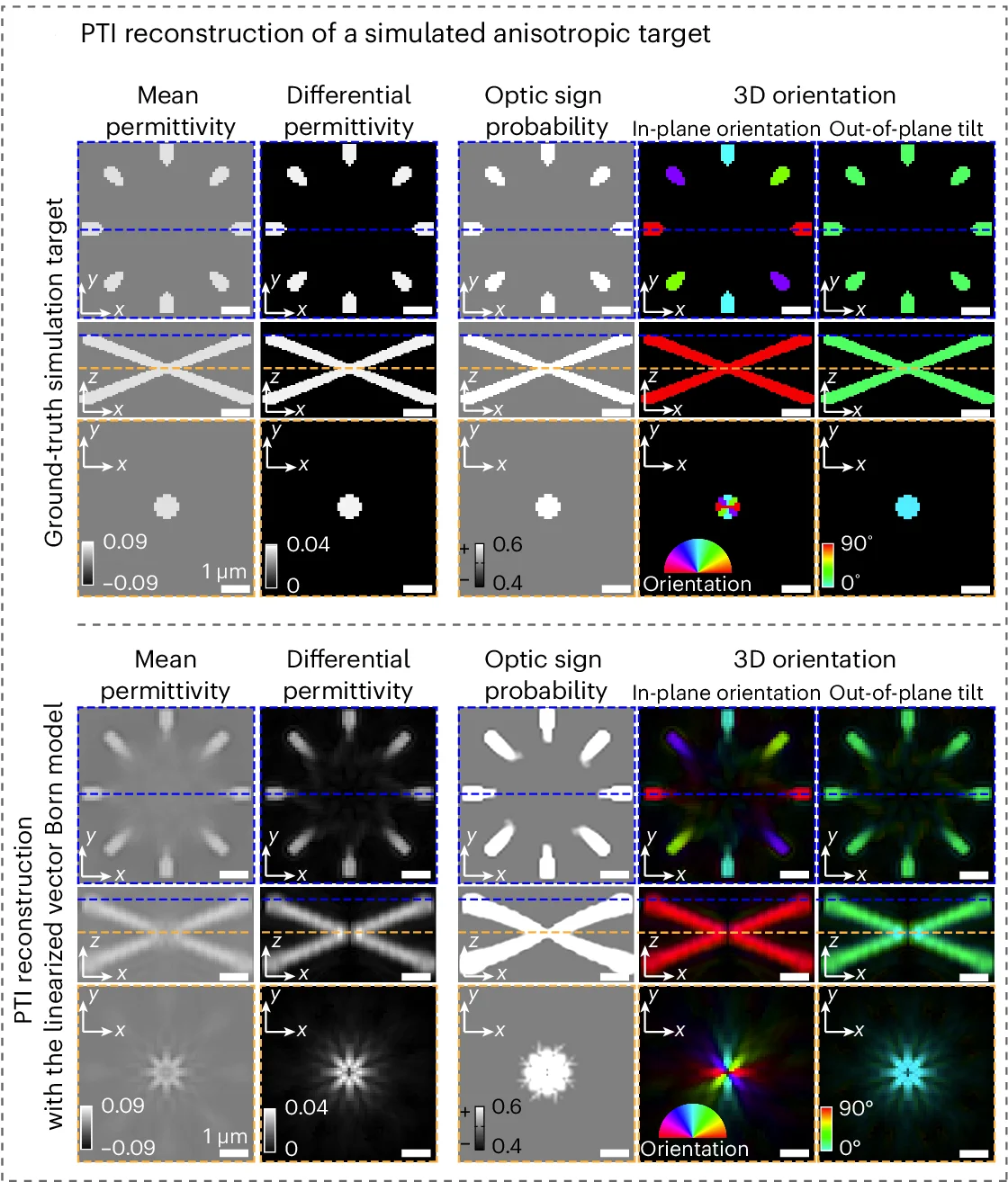 Open access visualization of Microscopy, Ground Truth, PTI Reconstruction, 3D Mean Permittivity, 3D Differential Permittivity