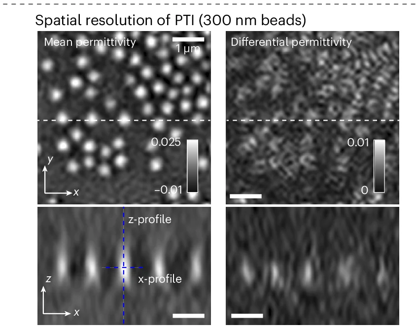 Open access visualization of Microscopy, 3D Spatial Resolution, Polystyrene Beads, Mean Permittivity, Differential Permittivity