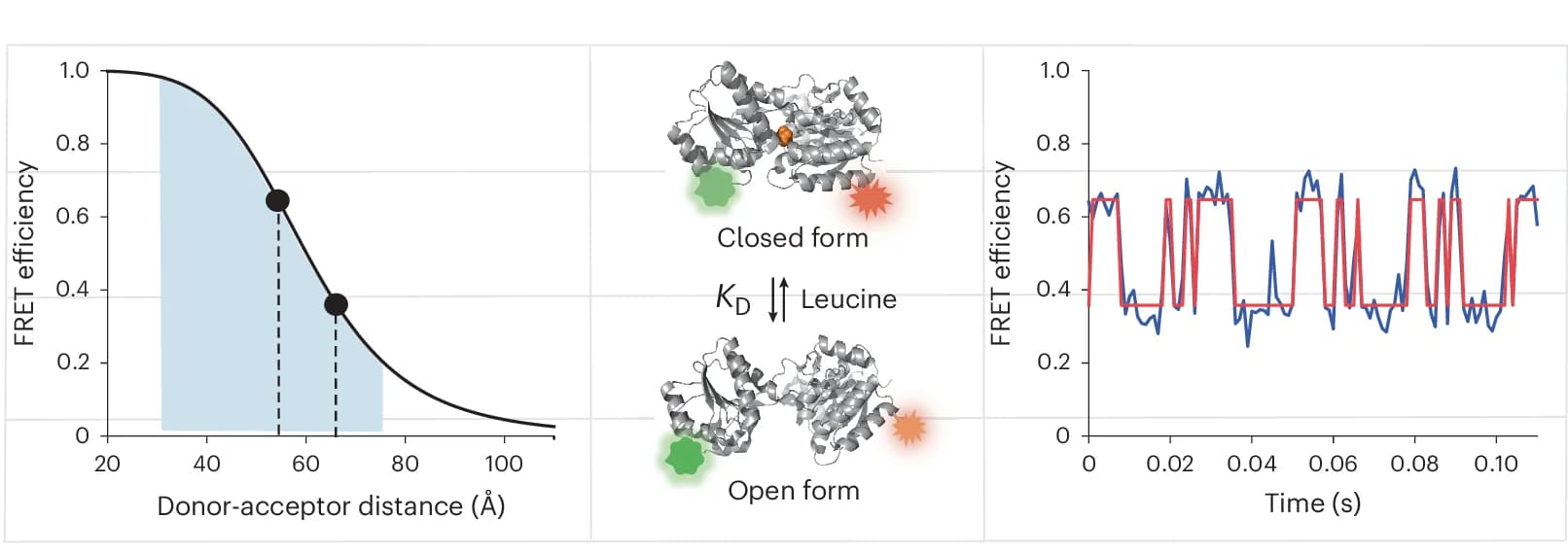 Open access visualization of Line Plot, Line Step, 3D Plot, Protein Structure, Illustration