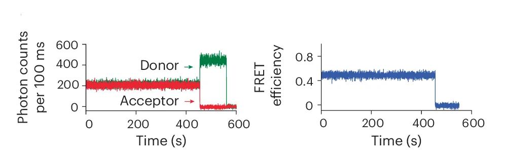 Open access visualization of Line Plot, Single-Molecule Fluorescence, smFRET, DNA Duplex, Donor Dye