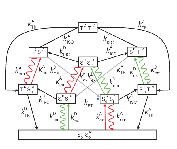 Open access visualization of Pathway, Photophysical Model, smFRET Efficiency, Stochastic Simulations